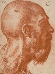 Cabeza de hombre en perfil