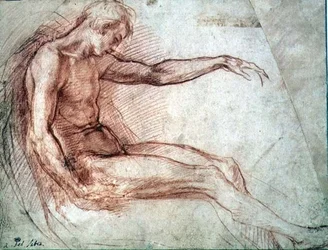 Desnudo masculino sentado