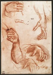 Estudio de manos