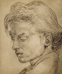 Cabeza viril de perfil