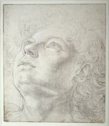 Cabeza de ángel