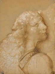 Busto de un joven, estudio para el ángel del “Bautismo de Cristo” de Verrocchio, c. 1475