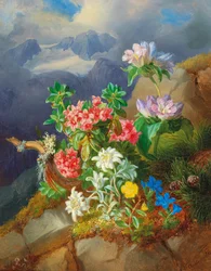 Flores alpinas