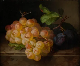 Naturaleza muerta con frutas y abeja