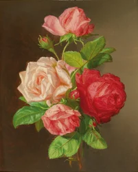Rosas
