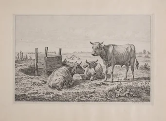Danés: Un toro y dos vacas