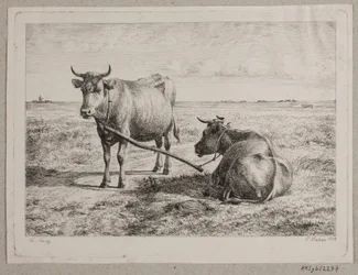 Danés: Dos vacas interconectadas