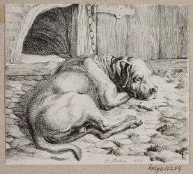 Un perro encadenado durmiendo