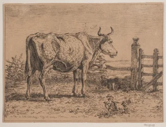 Una vaca de pie