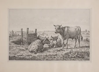 Un toro y dos vacas