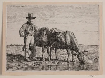 Pastor con vacas