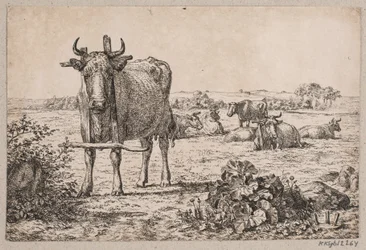 Paisaje con vacas