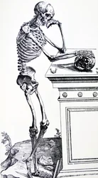 Esqueleto humano con calavera en la mano. De 