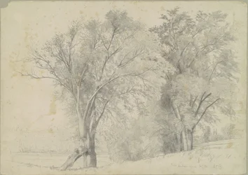 Olmos, Hudson