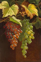 Dos racimos de uvas, s.f. (óleo sobre lienzo)