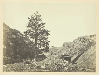 Árbol de las Mil Millas, Paso de Wilhelmina
