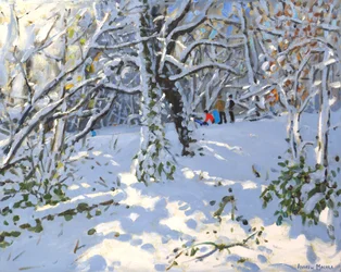 Trineo navideño en Allestree Woods