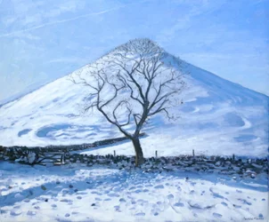 Colina y árbol, Derbyshire, 2008
