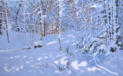 Nieve de noviembre, Bosques de Allestree, Derby