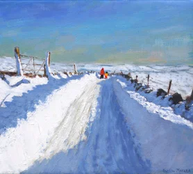 Carretera despejada de nieve, Distrito de los Picos de Derbyshire, 2019