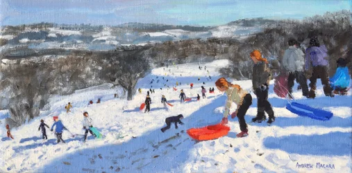 El trineo rojo, Allestree Park, Derby, 2016