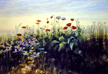 Flores silvestres