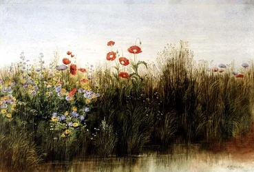 Flores silvestres junto a un arroyo