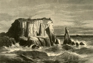 Escena Costera, Condado de Marin, 1872