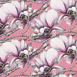 Magnolia, 2019
