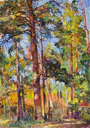 Bosque de pinos bañado por el sol