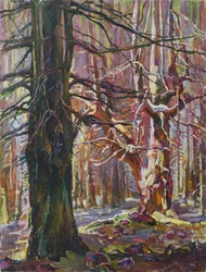 Bosque invernal bañado por el sol