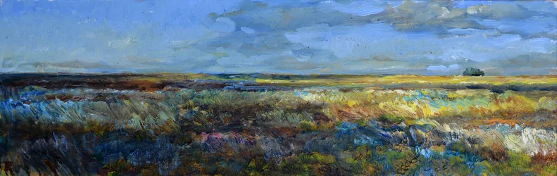 Extenso paisaje de pradera