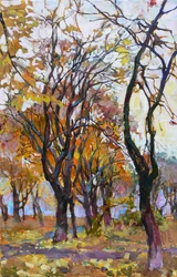 Bosques otoñales llenos de color
