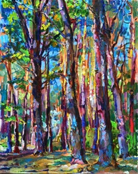 Luz vibrante del bosque