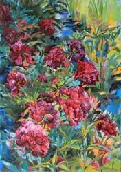Flores de jardín de colores vivos
