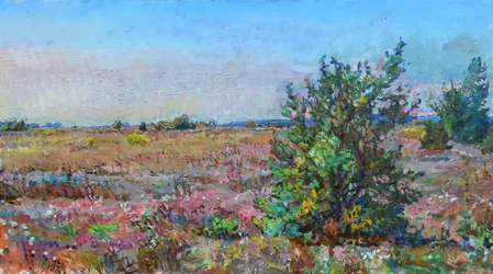 Vibrante paisaje de brezal