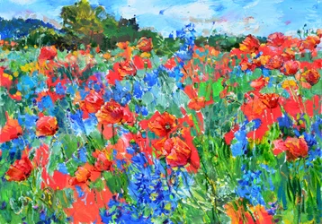 Un campo de amapolas lleno de color