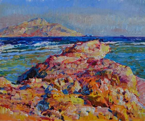Costa rocosa y llena de vida