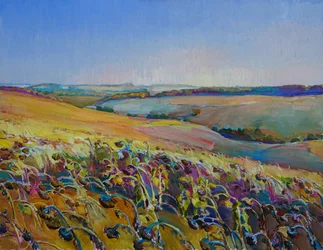 Campos de girasoles llenos de color