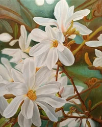 Magnolia blanca en flor