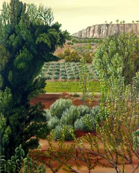 Vista del acantilado del Valle Cultivado