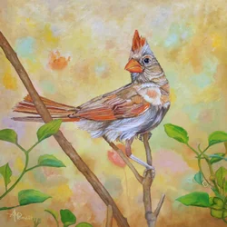 Hembra de cardenal posada