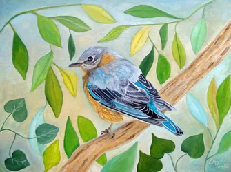 Aves silvestres del bosque