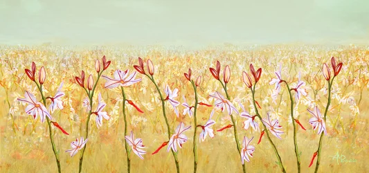 Florecimiento en el campo dorado