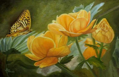 Mariposa de las flores doradas