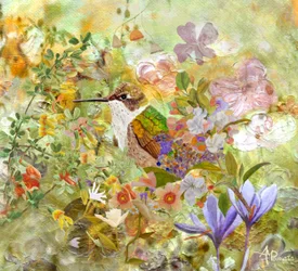 Flores para el jardín de los colibríes