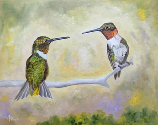 Pareja de colibríes posados