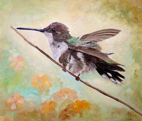 Colibrí en una rama