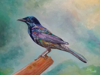 Pájaro posado iridiscente