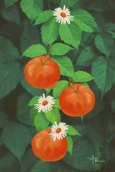 Frutas de naranja y margaritas